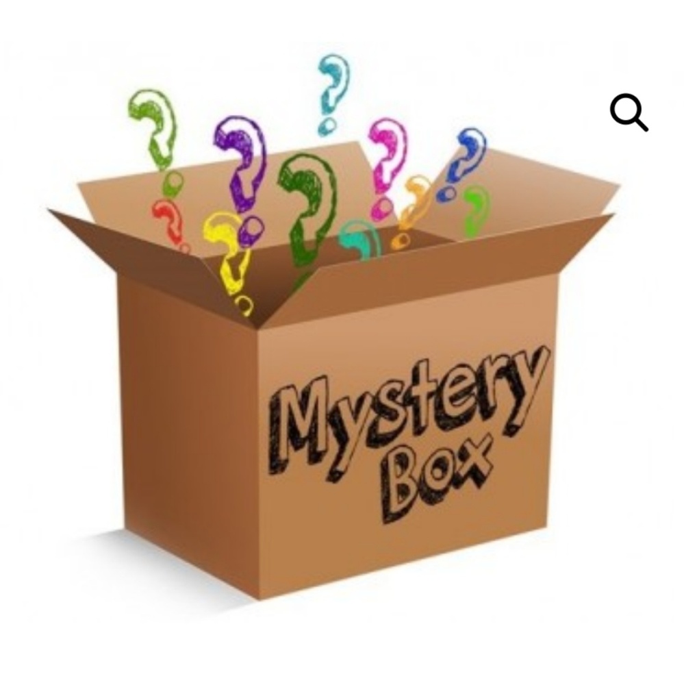 Mystery box stuffed animal